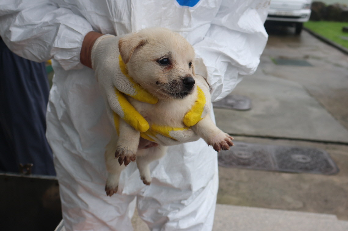 제주 동물보호센터_450650202302222